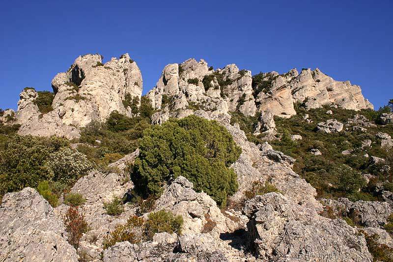 Les Orgues 3